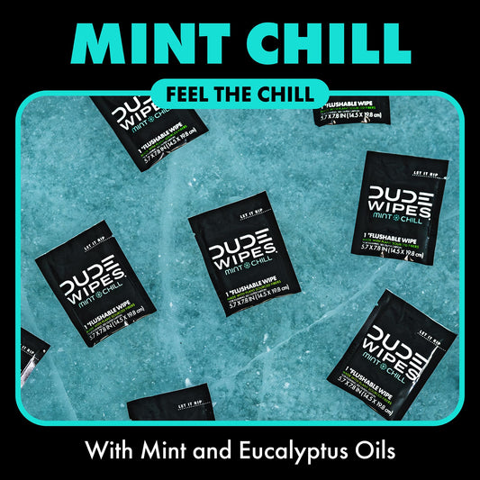 DUDE Wipes On-The-Go Mint Chill Adult Flushable Travel Wipes, 30 Count | 30 individually wrapped flushable butt wipes. Travel essentials. 99% water, tea tree oil, vitamin E and aloe. Septic safe.