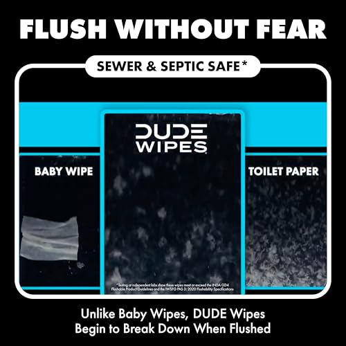 DUDE Wipes Odor Destroyer Adult Flushable Wet Wipes, Deodorizing, 288 Count | Controls odor for up to 24 hours. 99% water, extra large flushable butt wipes. Lightly scented. Septic safe. 6 packs of 48.