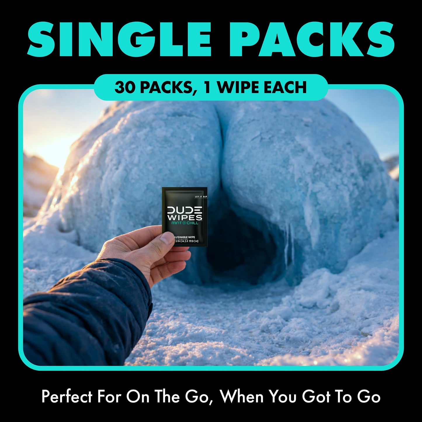DUDE Wipes On-The-Go Mint Chill Adult Flushable Travel Wipes, 30 Count | 30 individually wrapped flushable butt wipes. Travel essentials. 99% water, tea tree oil, vitamin E and aloe. Septic safe.