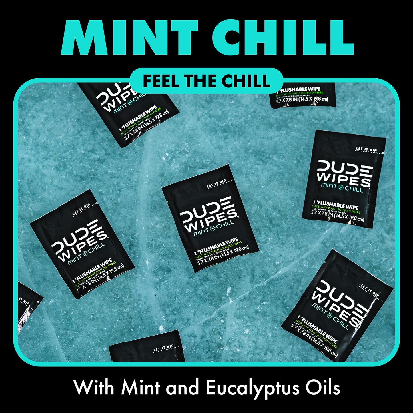 DUDE Wipes On-The-Go Mint Chill Adult Flushable Travel Wipes, 30 Count | 30 individually wrapped flushable butt wipes. Travel essentials. 99% water, tea tree oil, vitamin E and aloe. Septic safe.